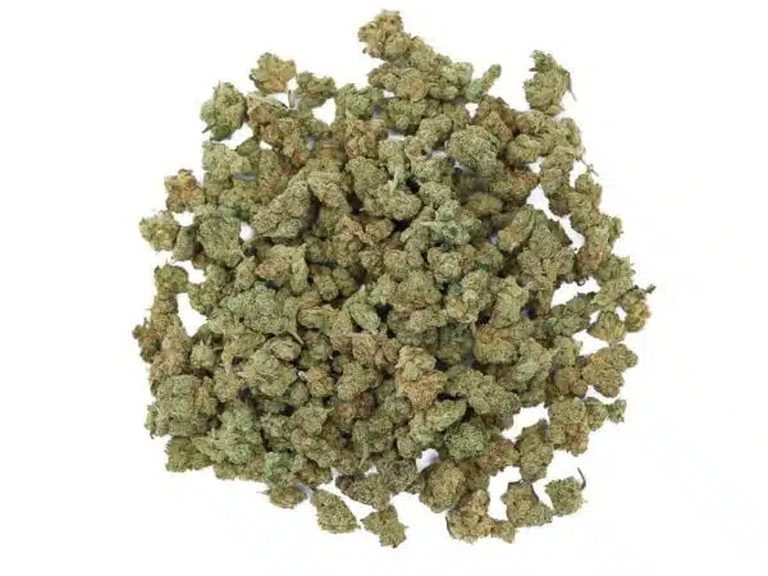 Photo de fleurs d'amnesia small bud