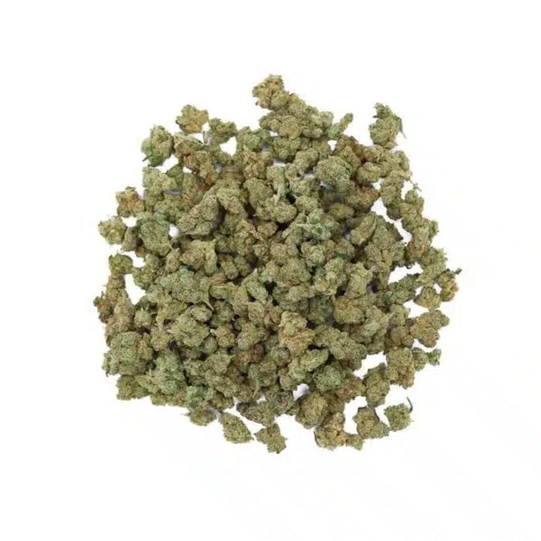 Photo de fleurs d'amnesia small bud